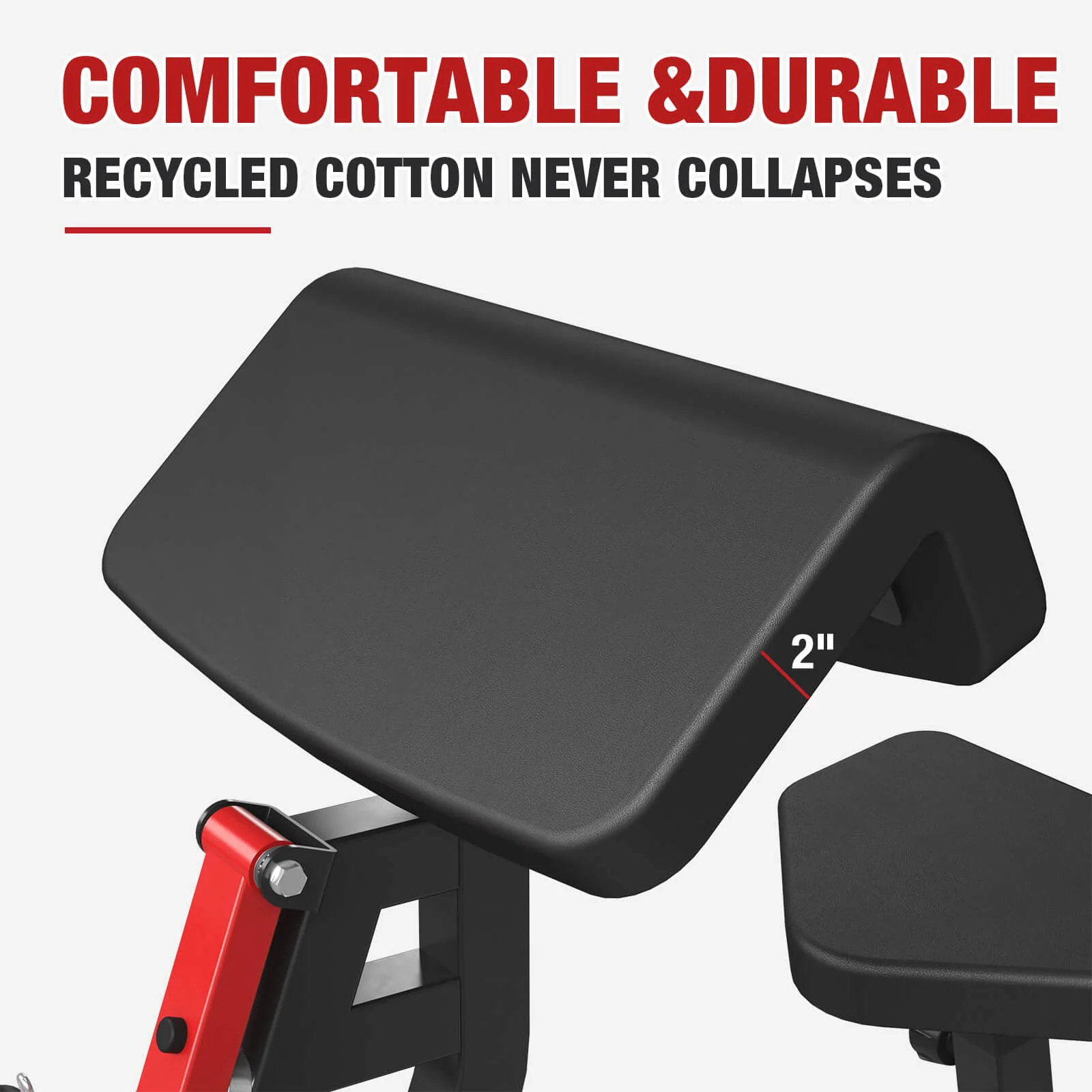 Bicep Curl Machine PB03 - Image 12