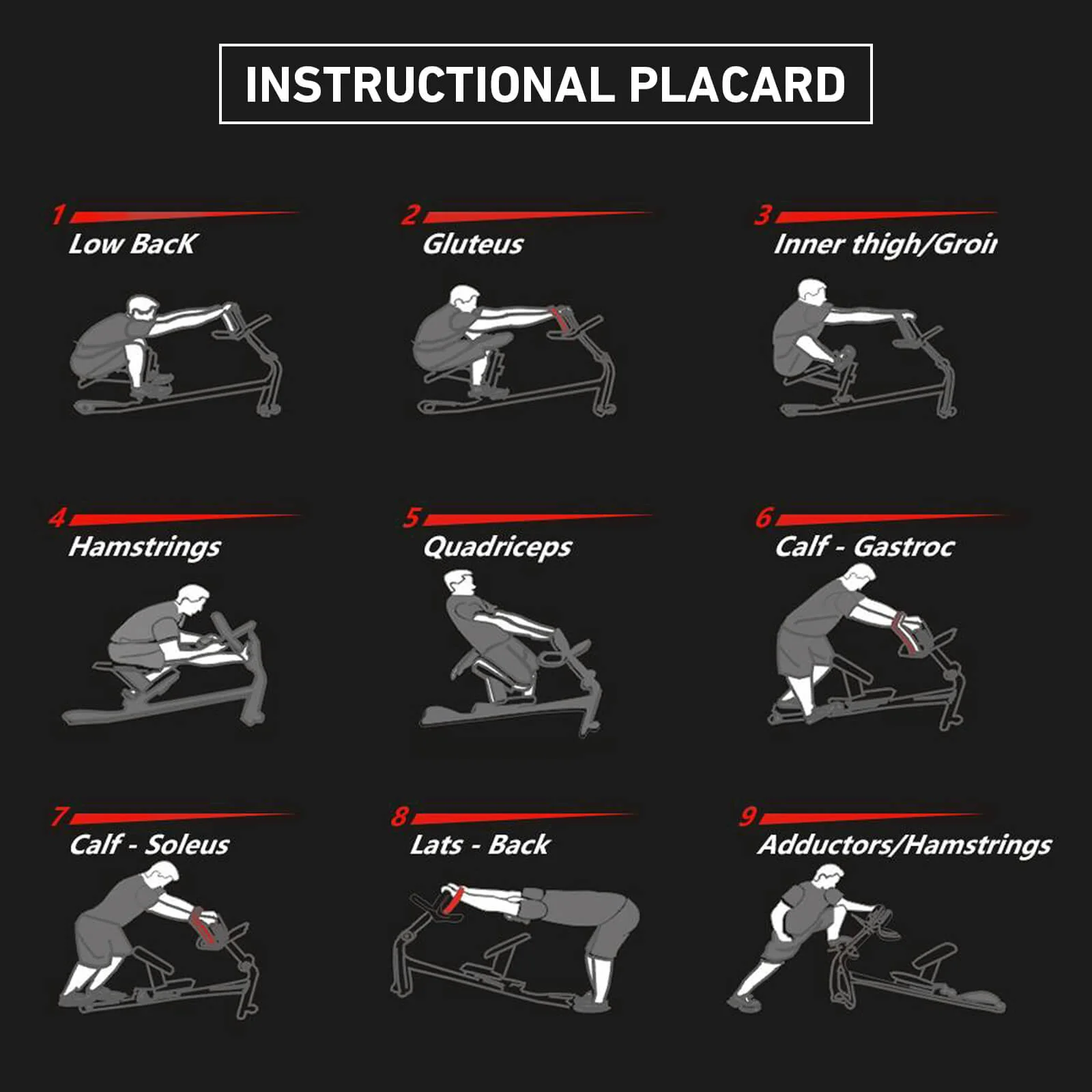 Stretch Training Machine SC01 - Image 3