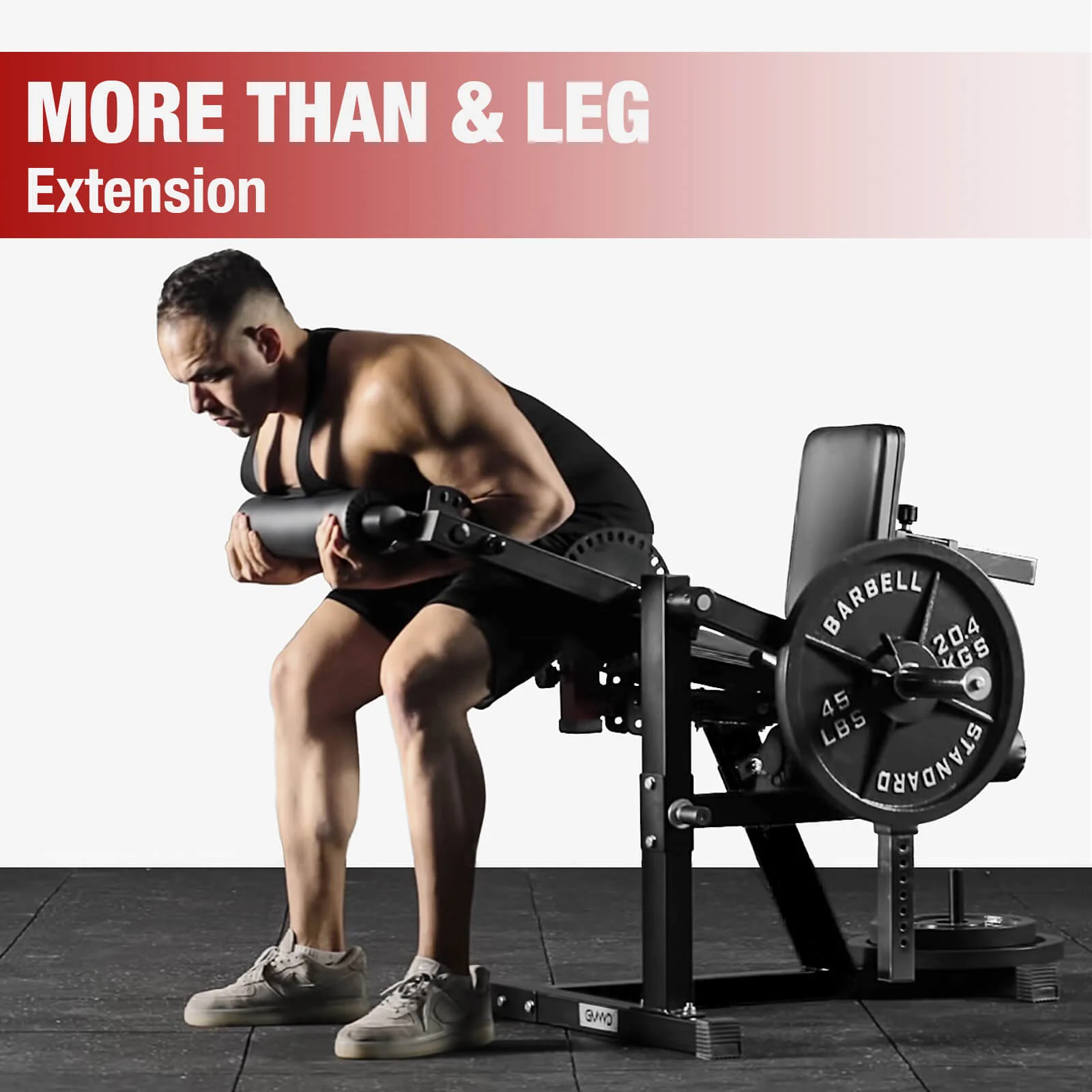 Economic Leg Extension and Curl Machine LE02 - Image 6