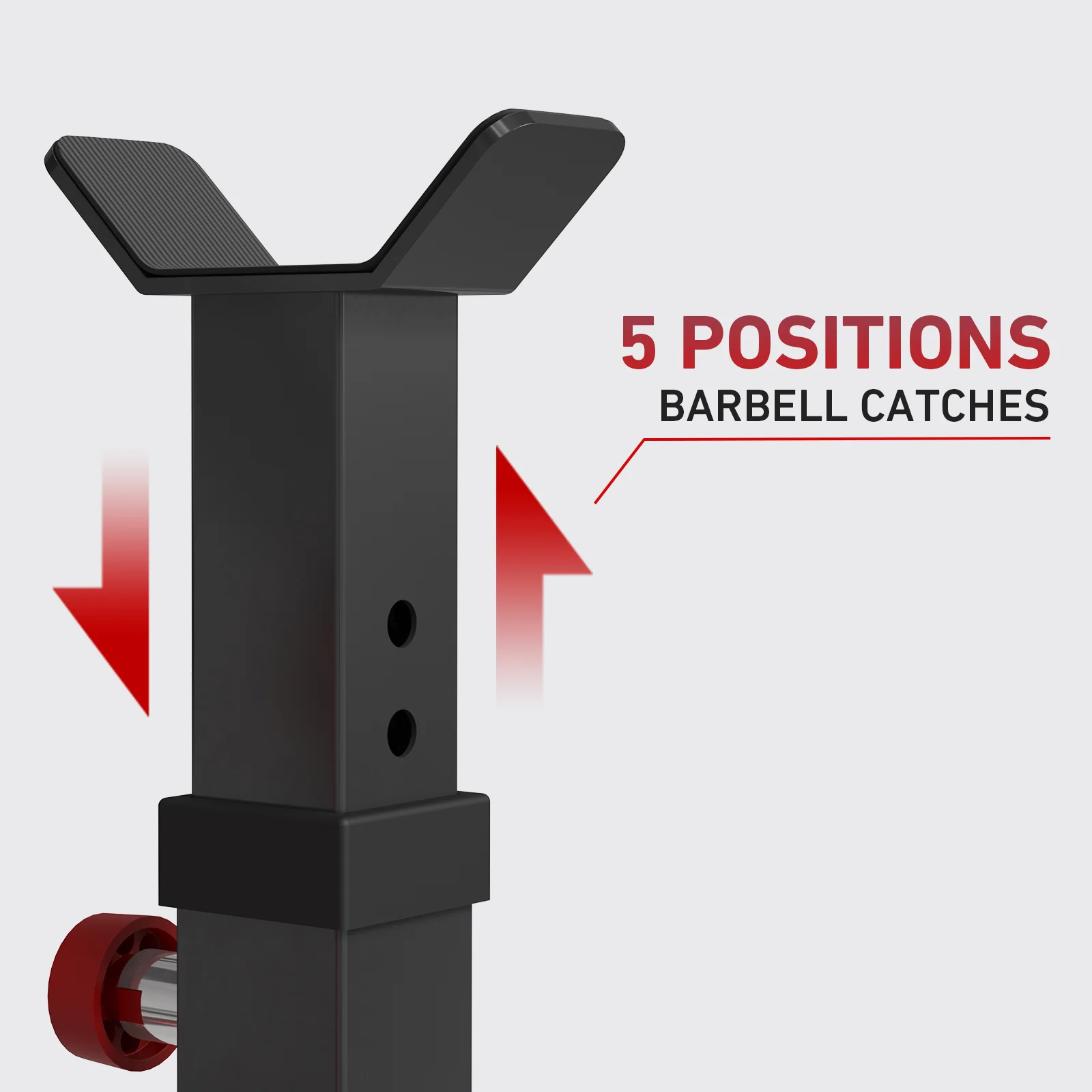 Preacher Curl And Back Extension Bench MS18 - Image 6