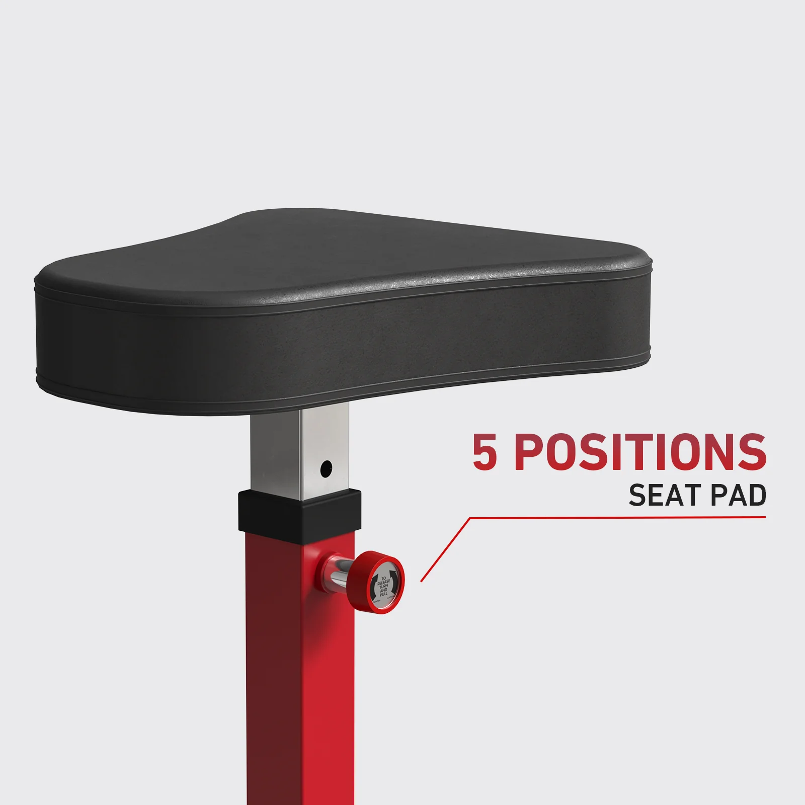 Preacher Curl And Back Extension Bench MS18 - Image 9