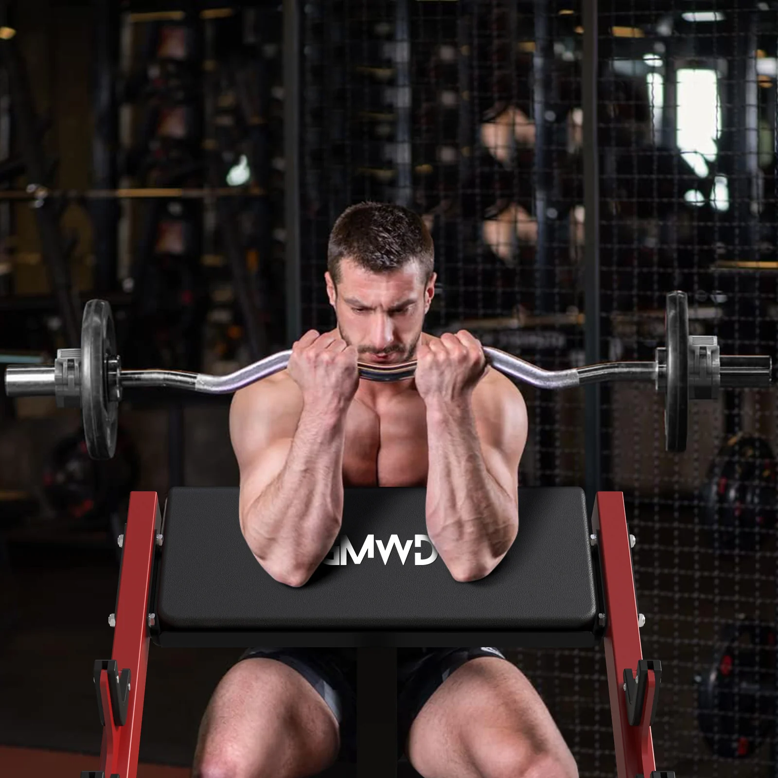 Preacher Curl Bench PB02 - Image 9